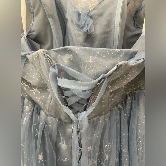 Cinderella Prom Gown - Picture 9 of 9
